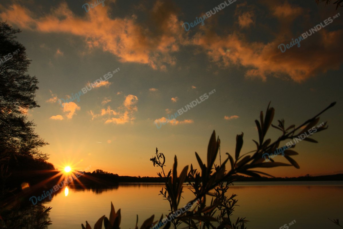 Sunset Around The Swamp example image 1