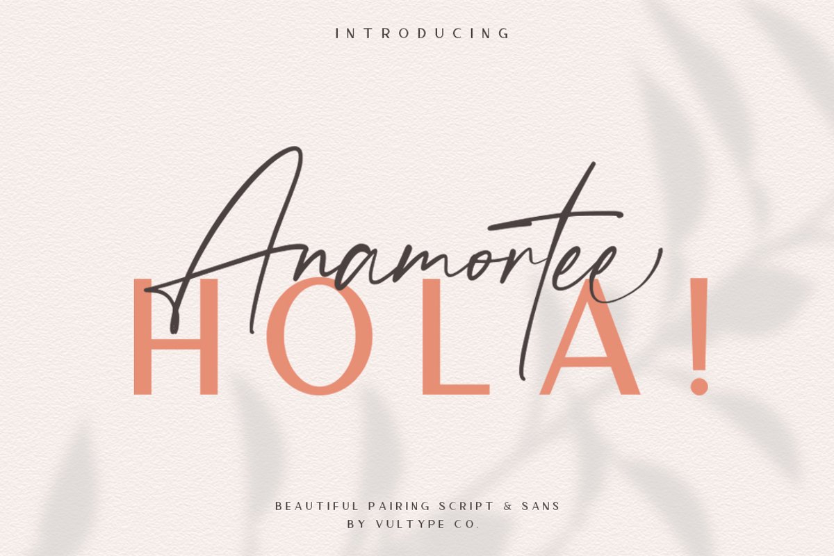 Anamortee // Modern Calligraphy Font example image 1