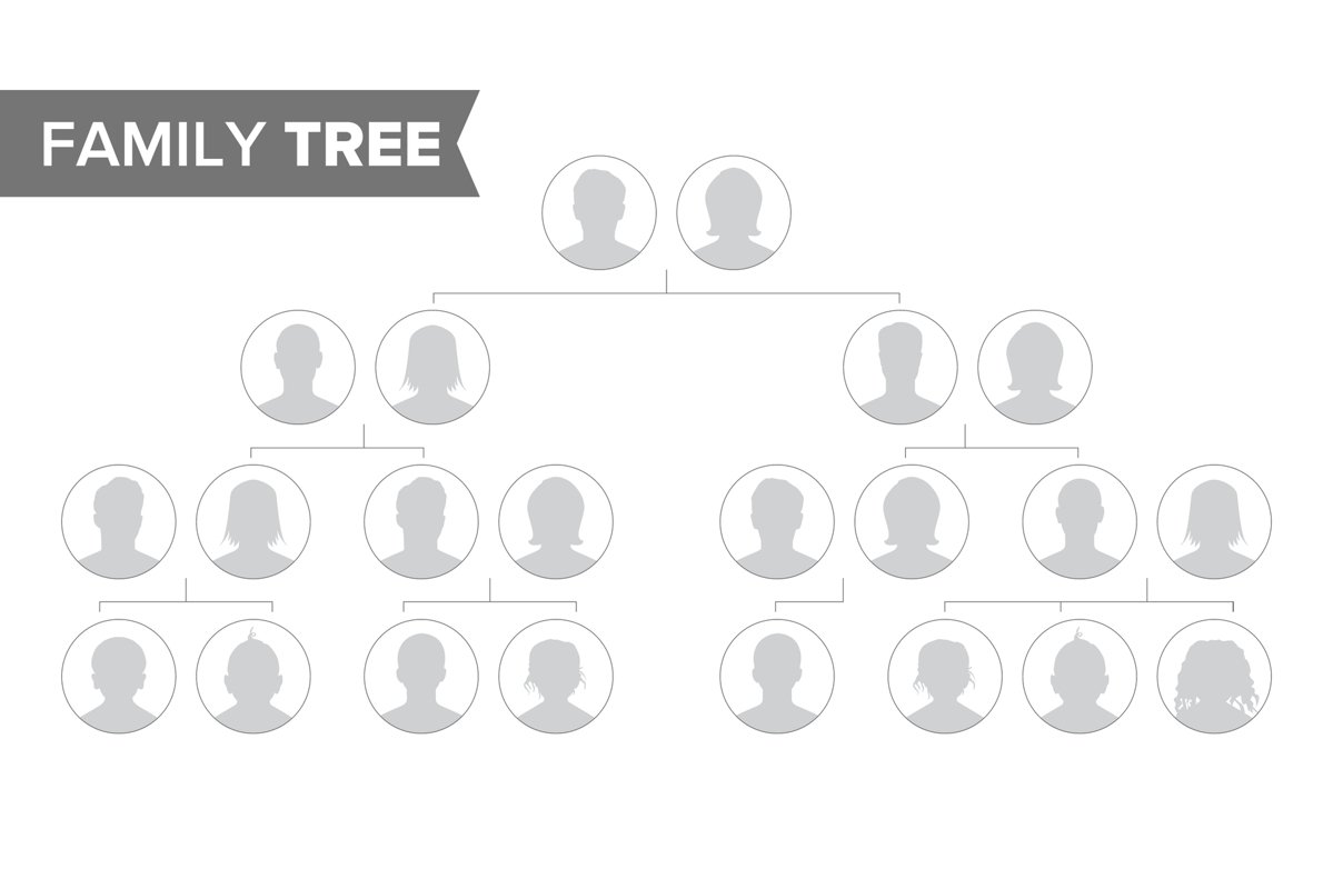 Genealogical Tree Template Vector. Family History Tree With example image 1