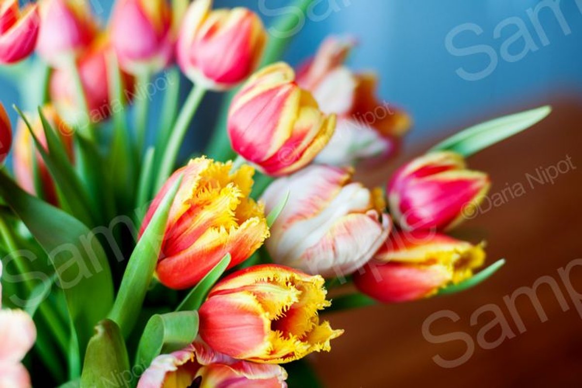 Bouquet of beautiful colorful tulips example image 1
