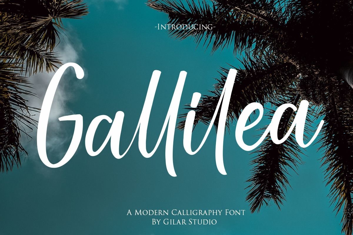 Gallillea | A Modern Calligraphy Font example image 1