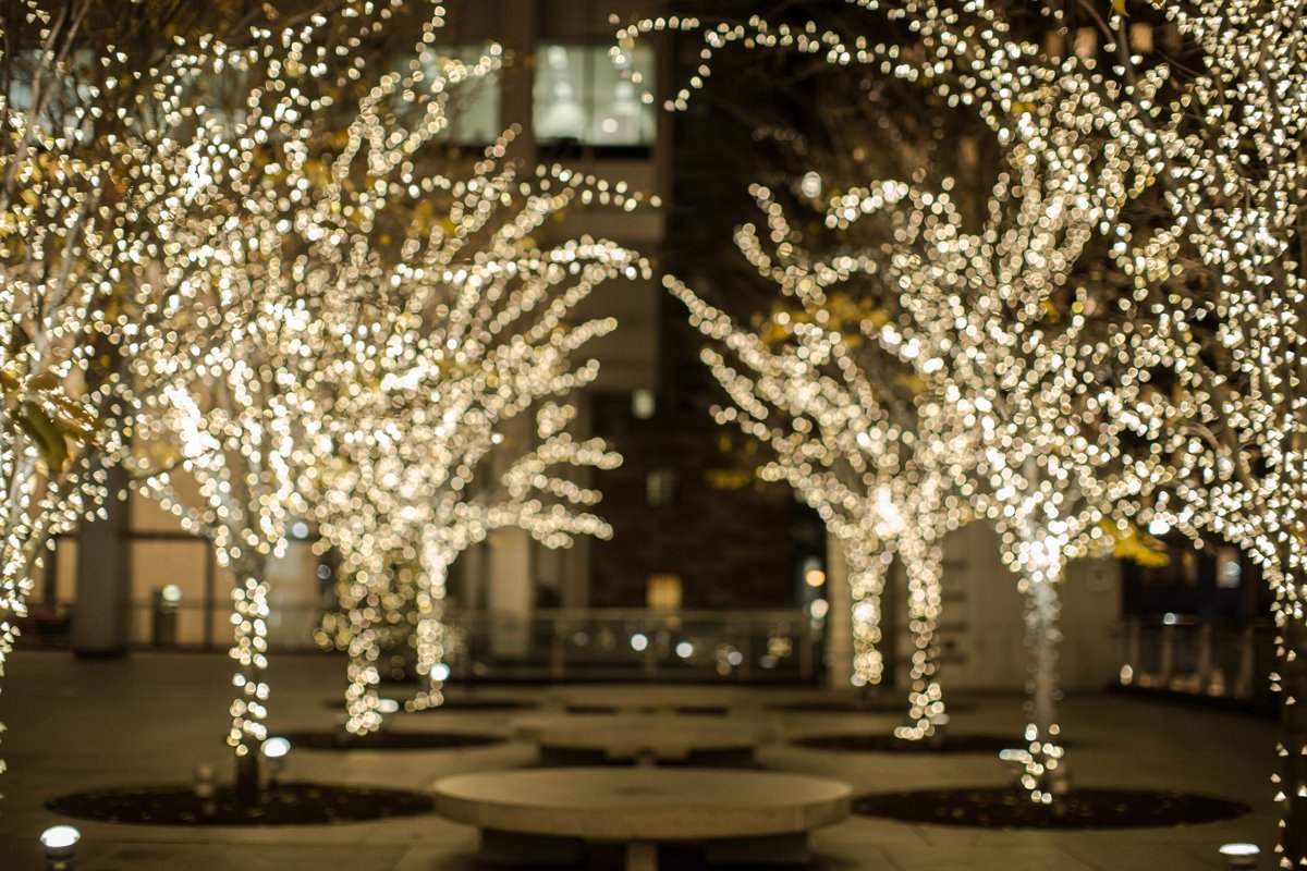 Light trees background example image 1
