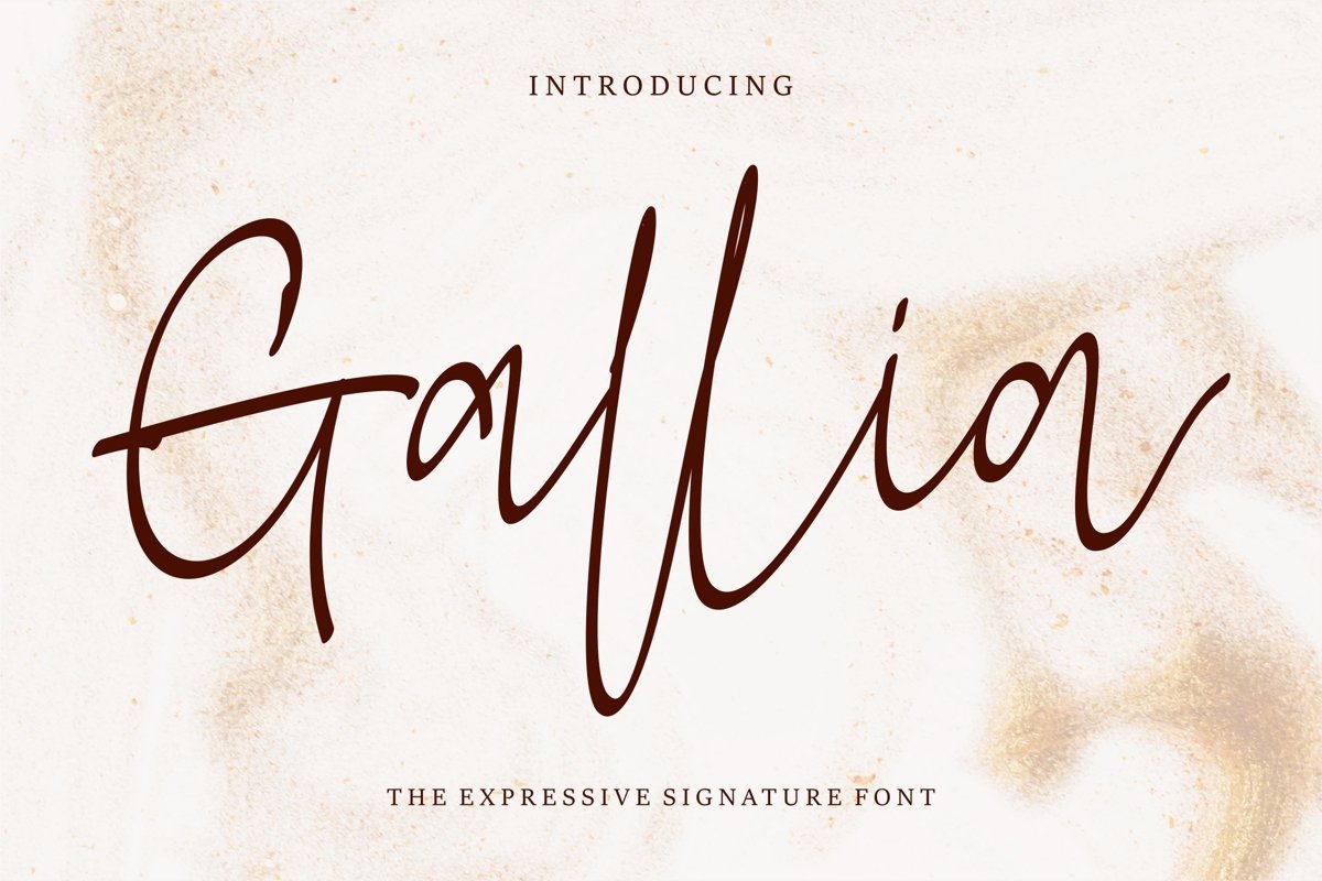 Gallia - The Expressive Signature Font example image 1