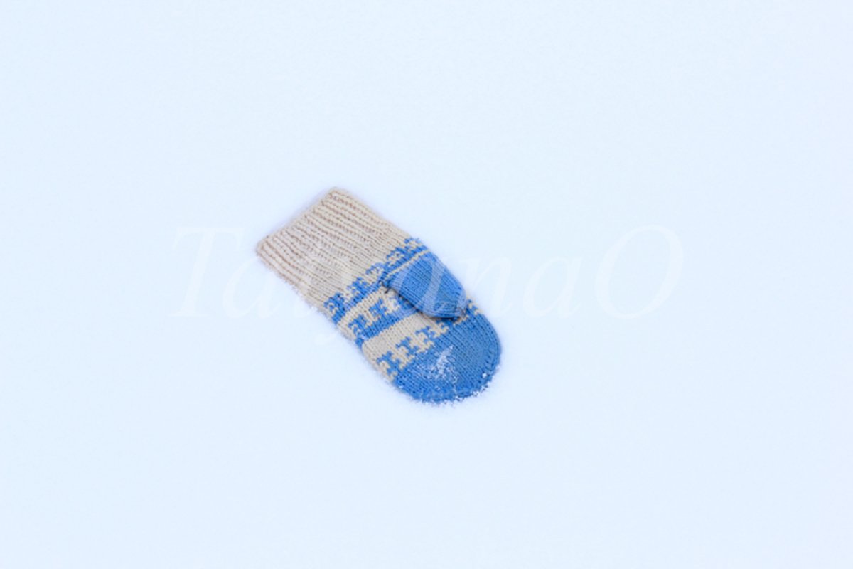 The concept of wintertime, holidays. example image 1