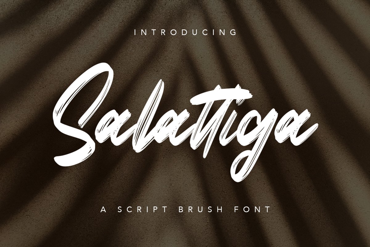 Salattiga - Script Brush Font example image 1