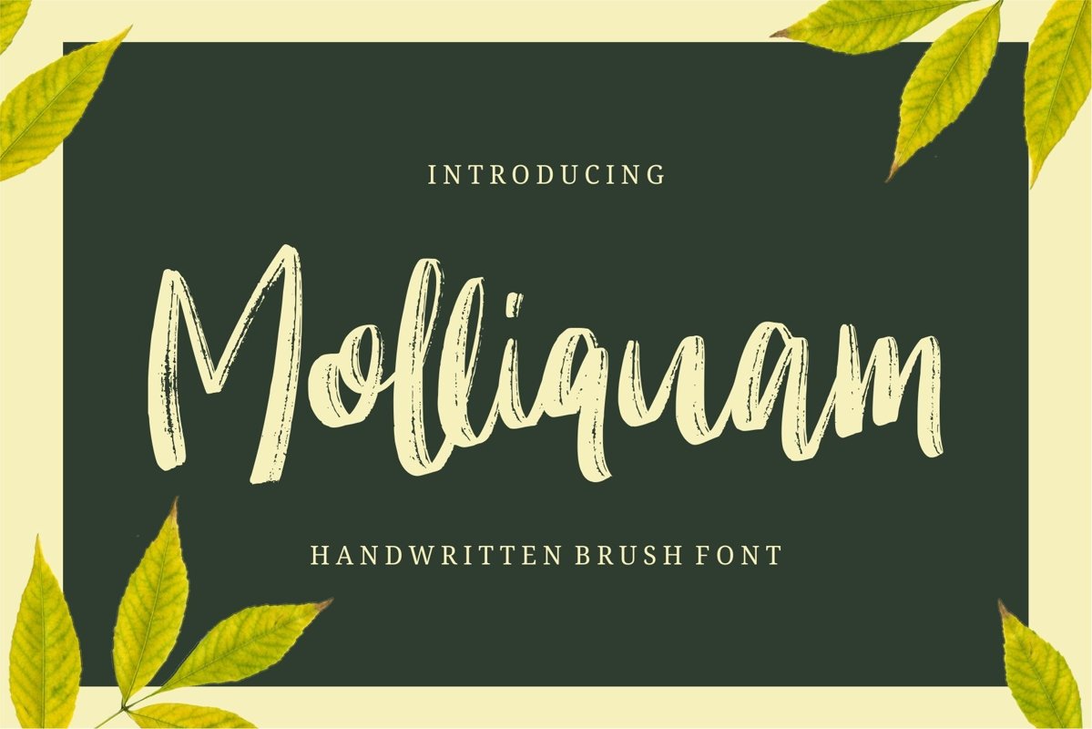 Molliquam example image 1