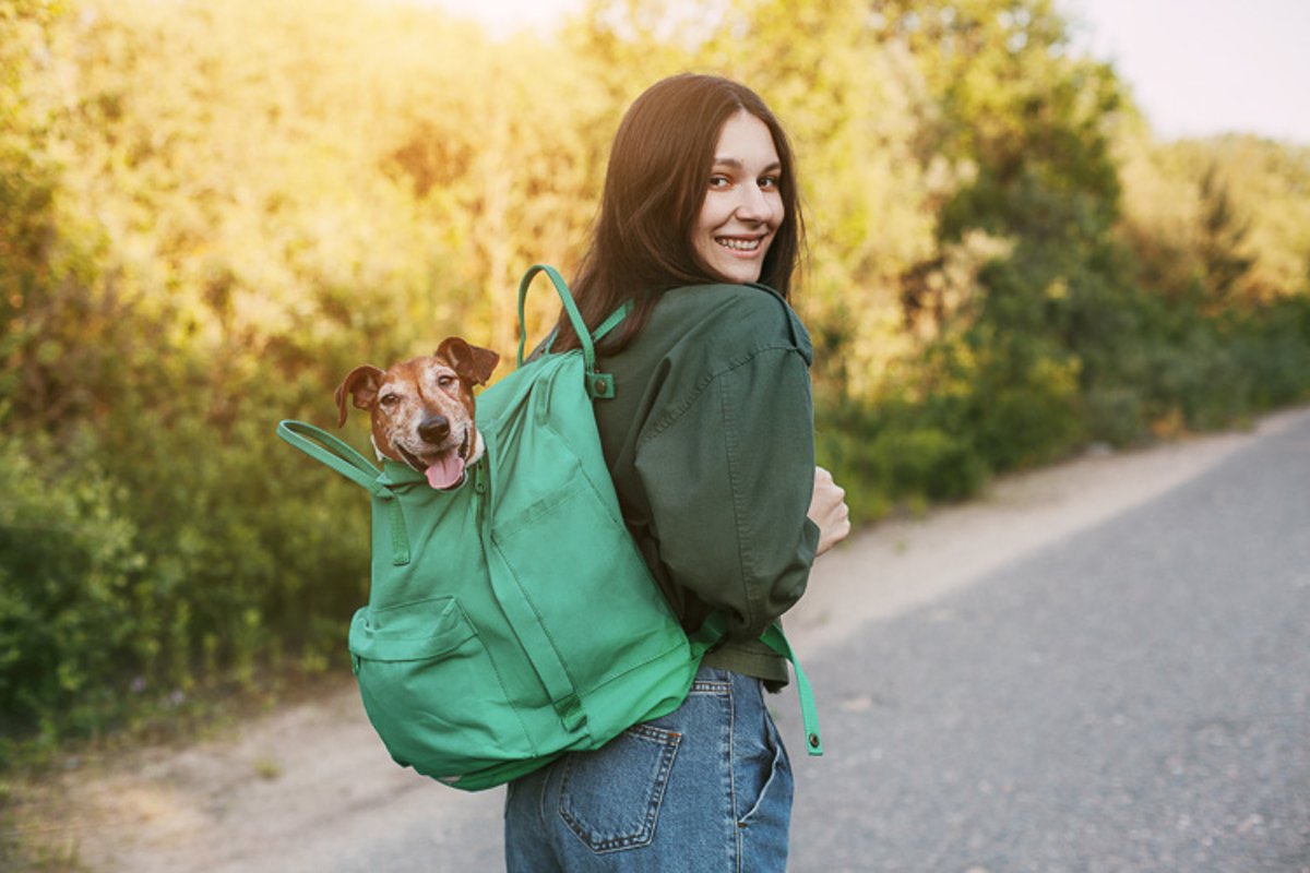 Girl holds with a backpack from which a cute dog peeks. example image 1