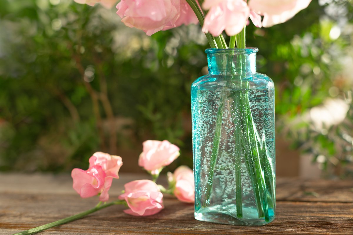 Pink sweet peas Lathyrus flowers in blue vase. Wooden table example image 1