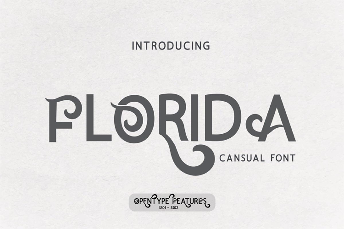 Florida example image 1