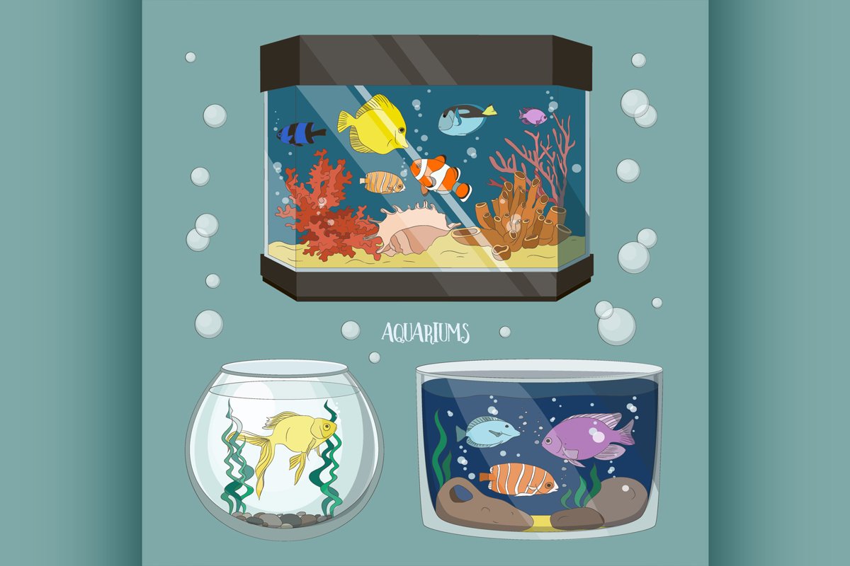 Glass Aquarium Set example image 1