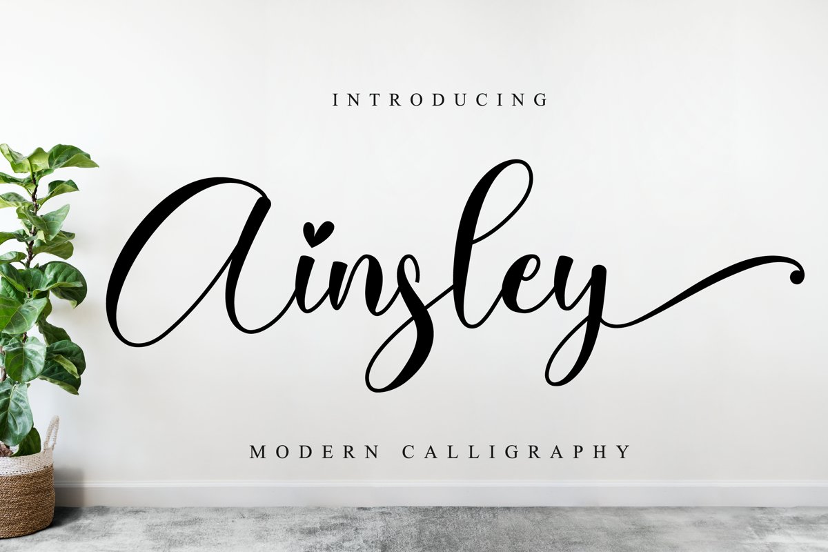 Ainsley Script example image 1