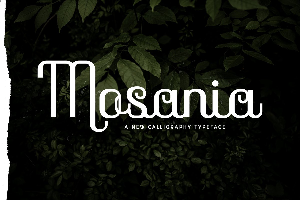 Mosaina example image 1