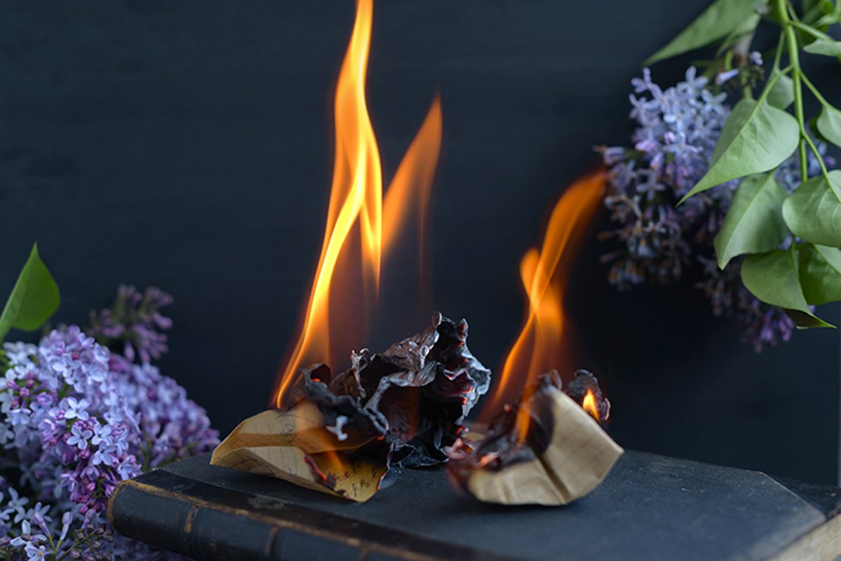 book is burning example image 1