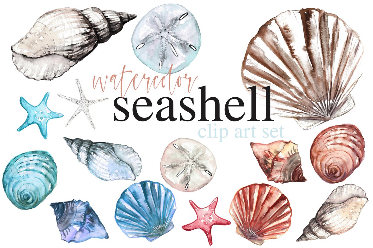 Seashell Watercolor Clip Art Set Beach Themed Ocean Art example image 1