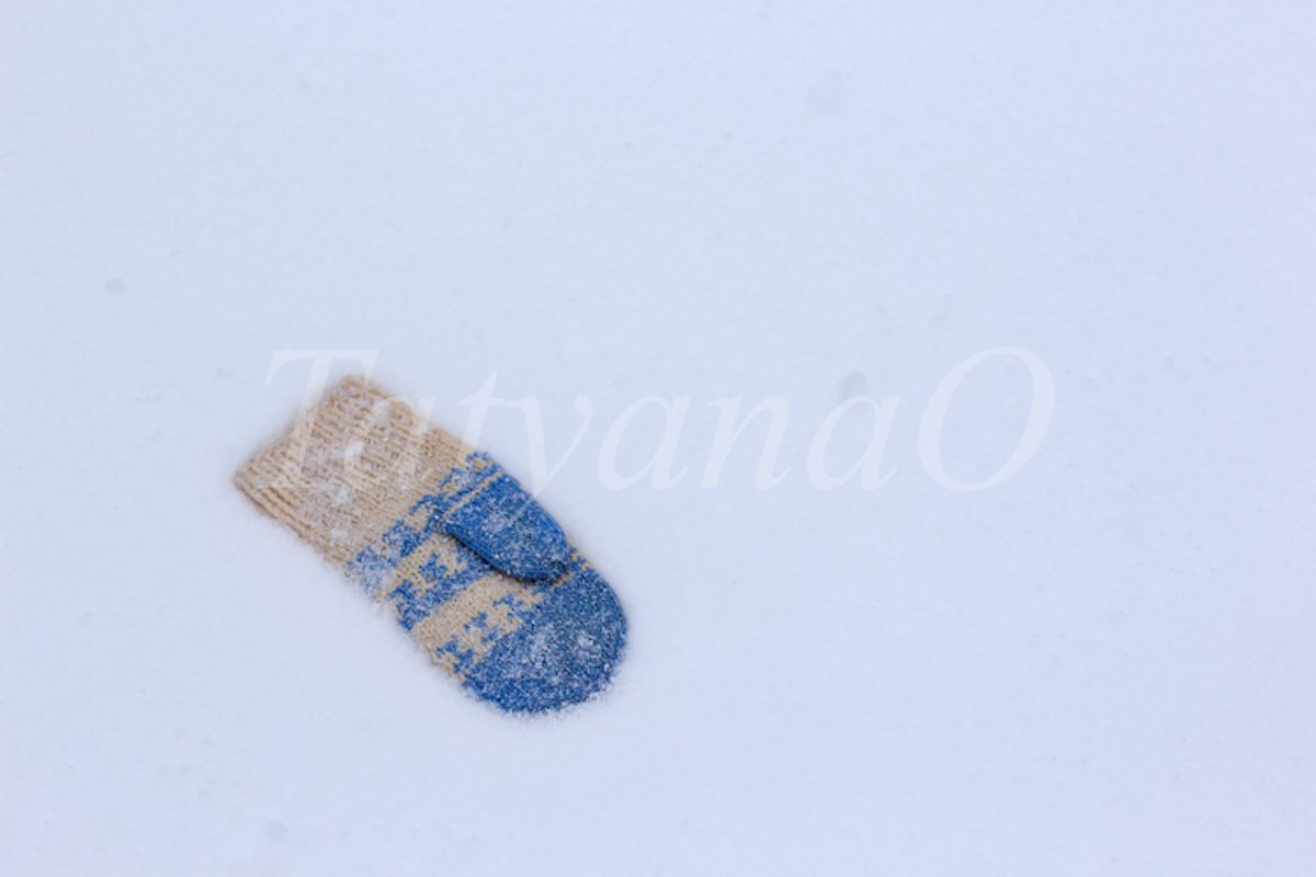 The concept of wintertime, holidays. example image 1
