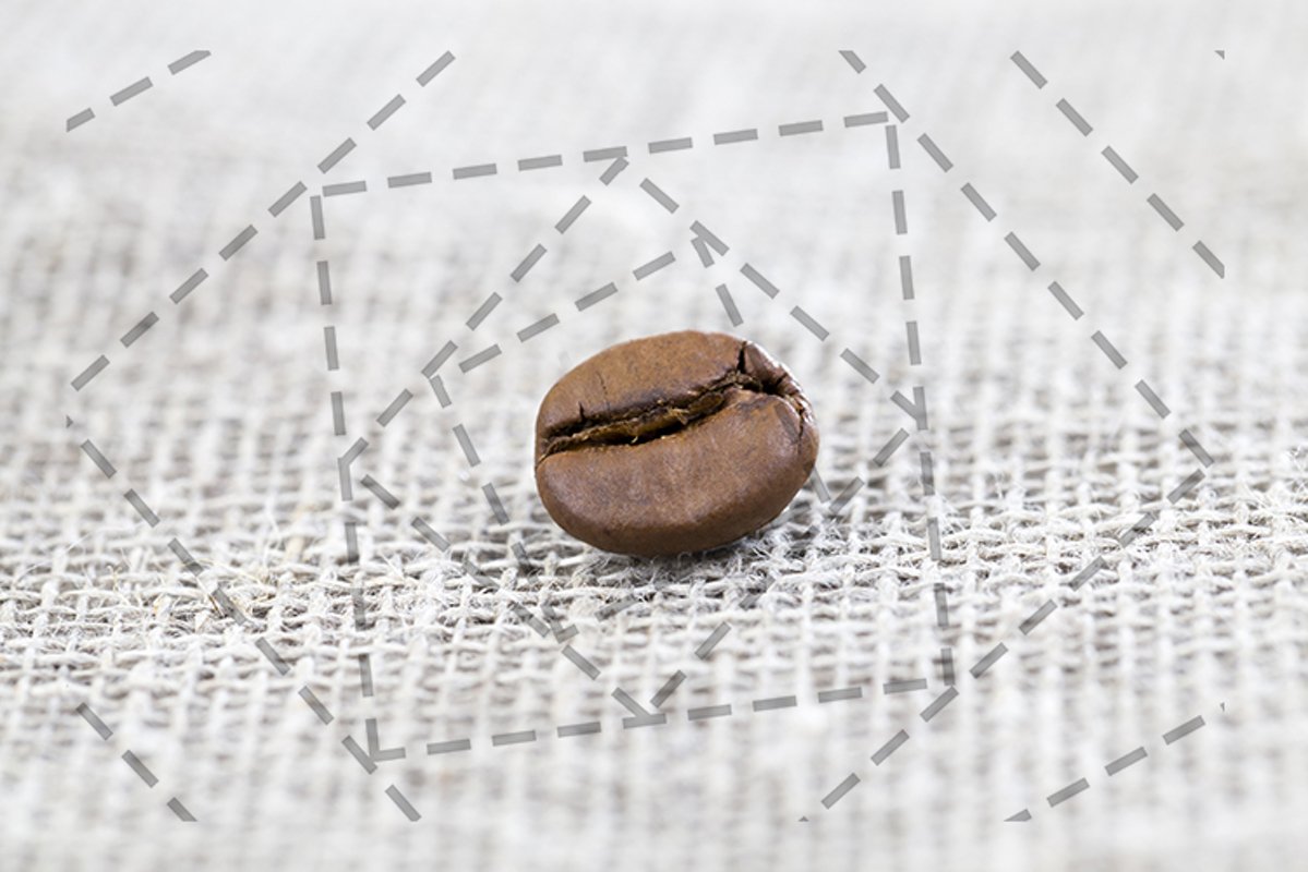 coffee grain example image 1
