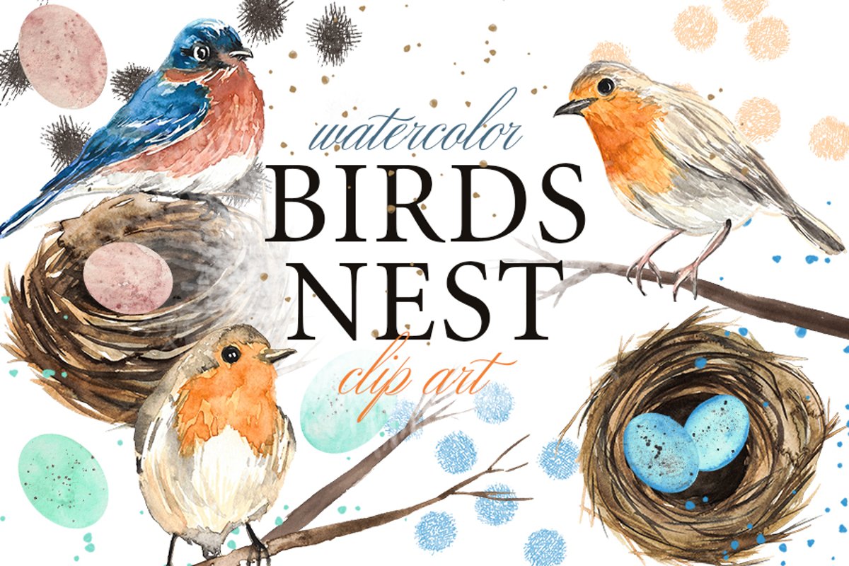 Birds Nest and Eggs Watercolor Clip Art Illustrations example image 1