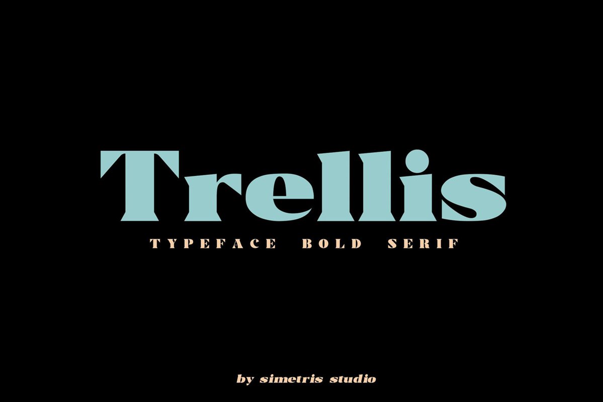 Trellis -Typeface Bold Serif example image 1