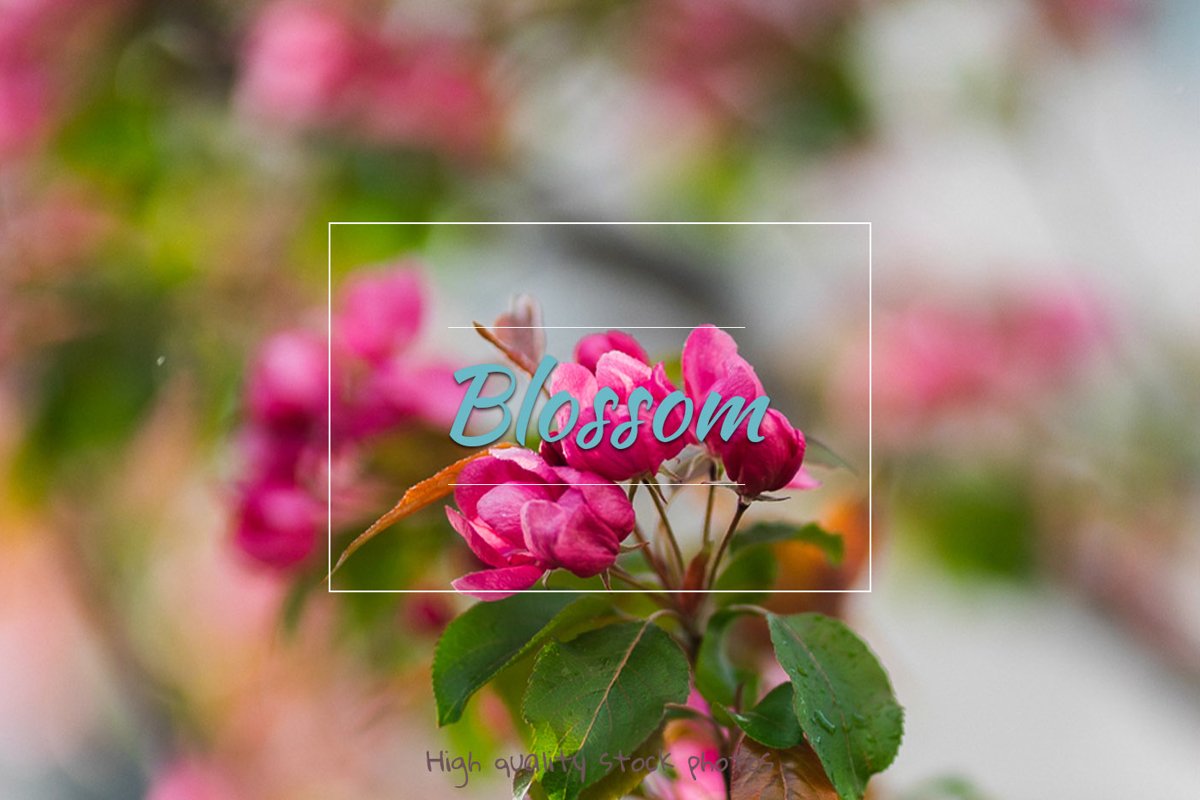 Blossom, spring Flowers example image 1