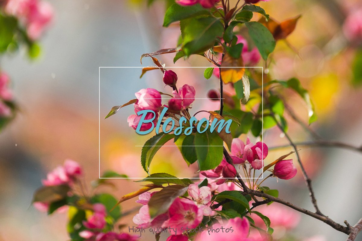 Flowers, spring blossom example image 1