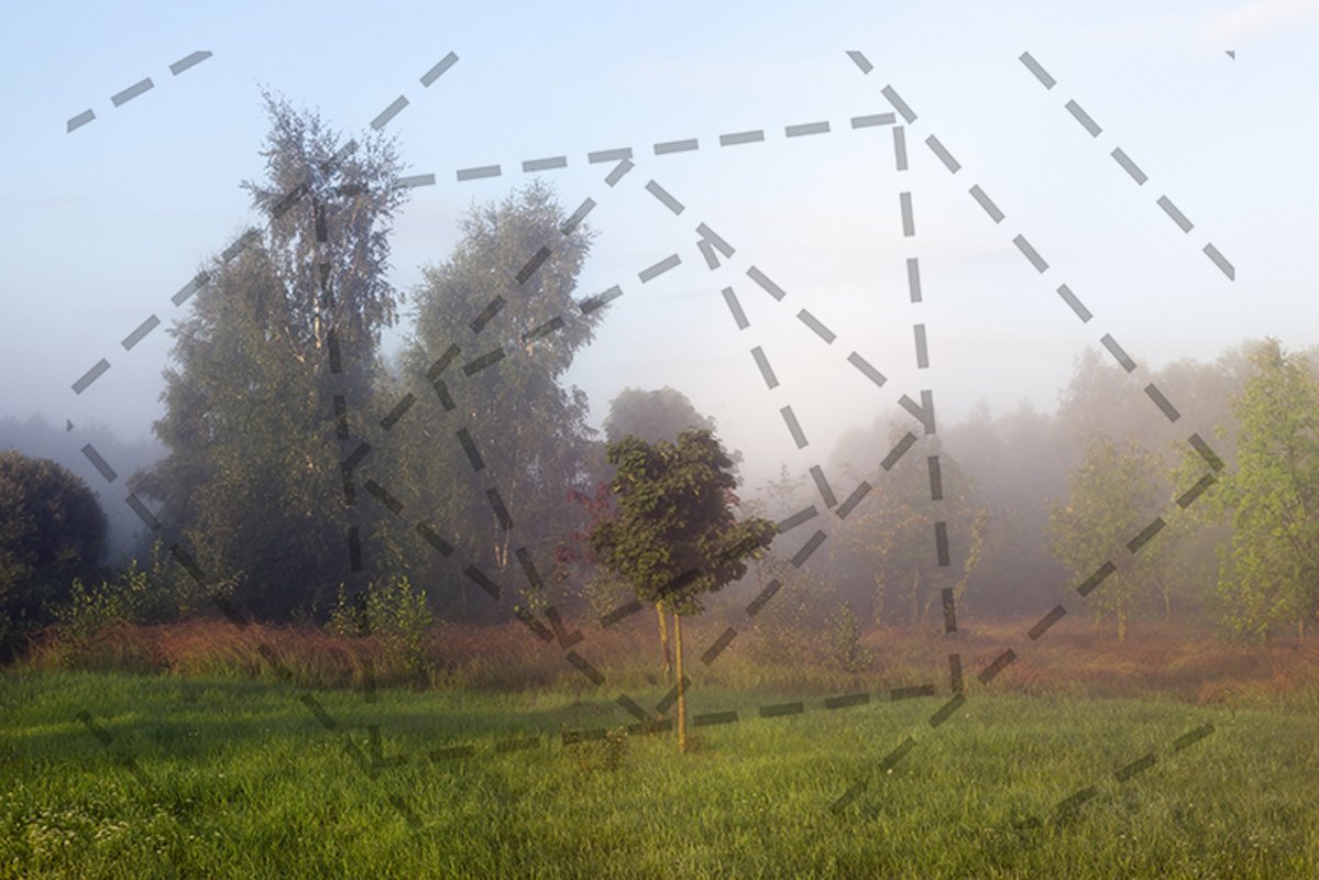morning mist example image 1