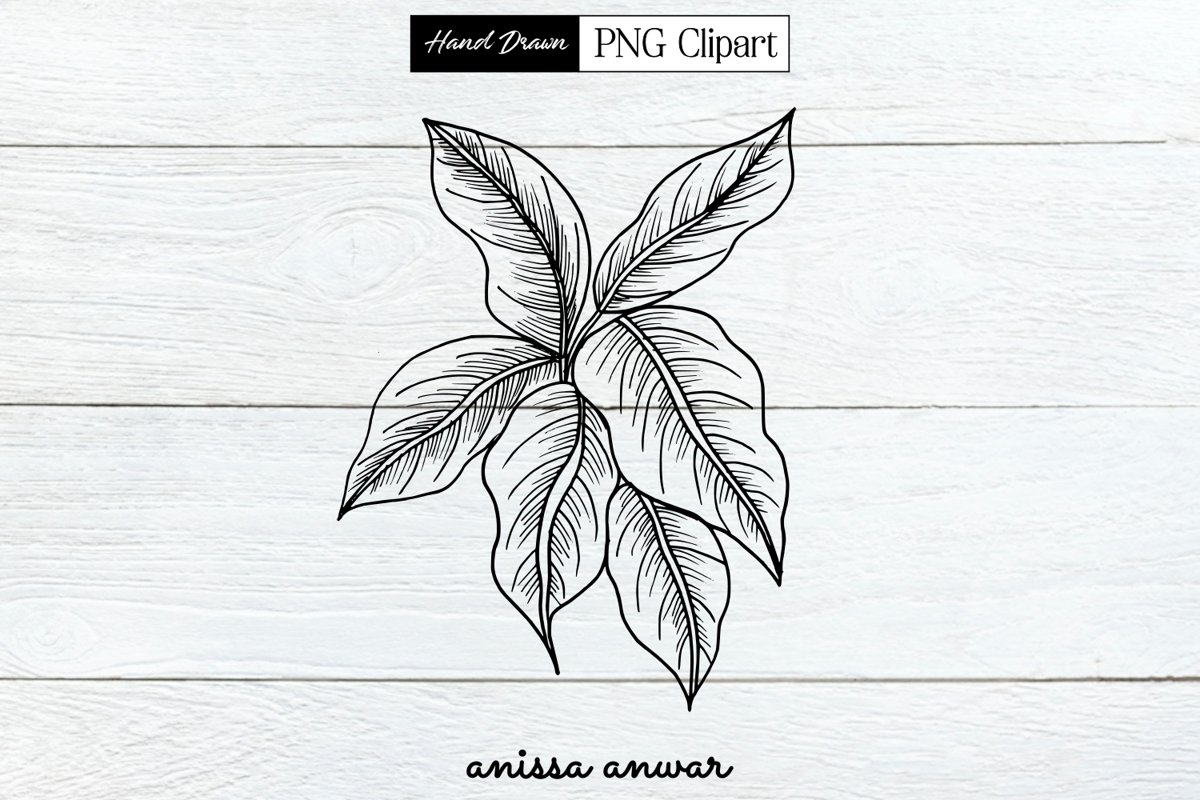 Leaves Line Art Png Clipart Sublimation Printables example image 1