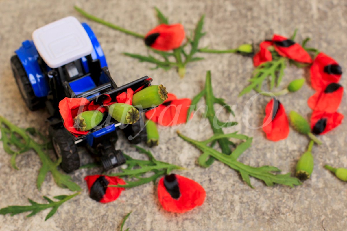 Toy tractor, excavator removing red poppies, corn poppy. example image 1