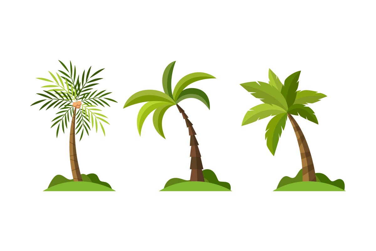 Palm Tree Illustrations example image 1