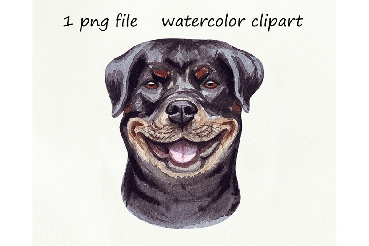Watercolor dog png, Rottweiler dog, hand drawn example image 1