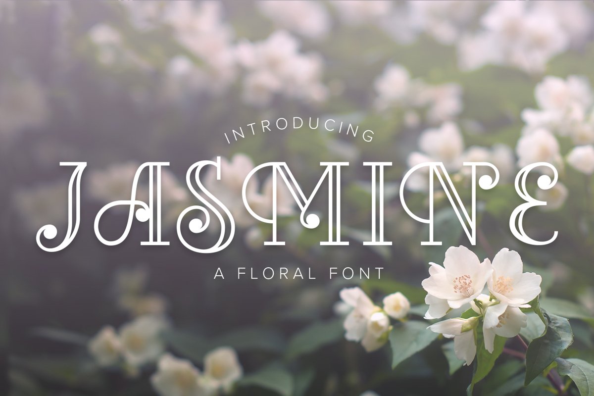 Jasmine example image 1