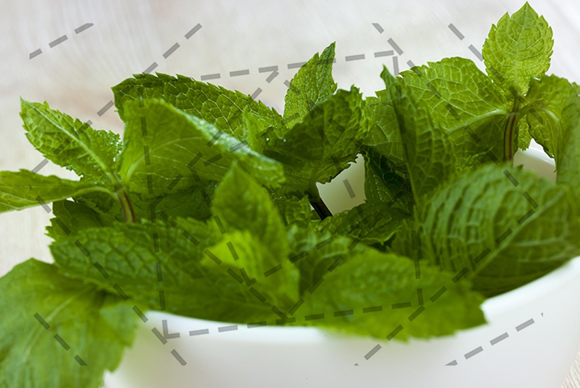 green aromatic mint example image 1