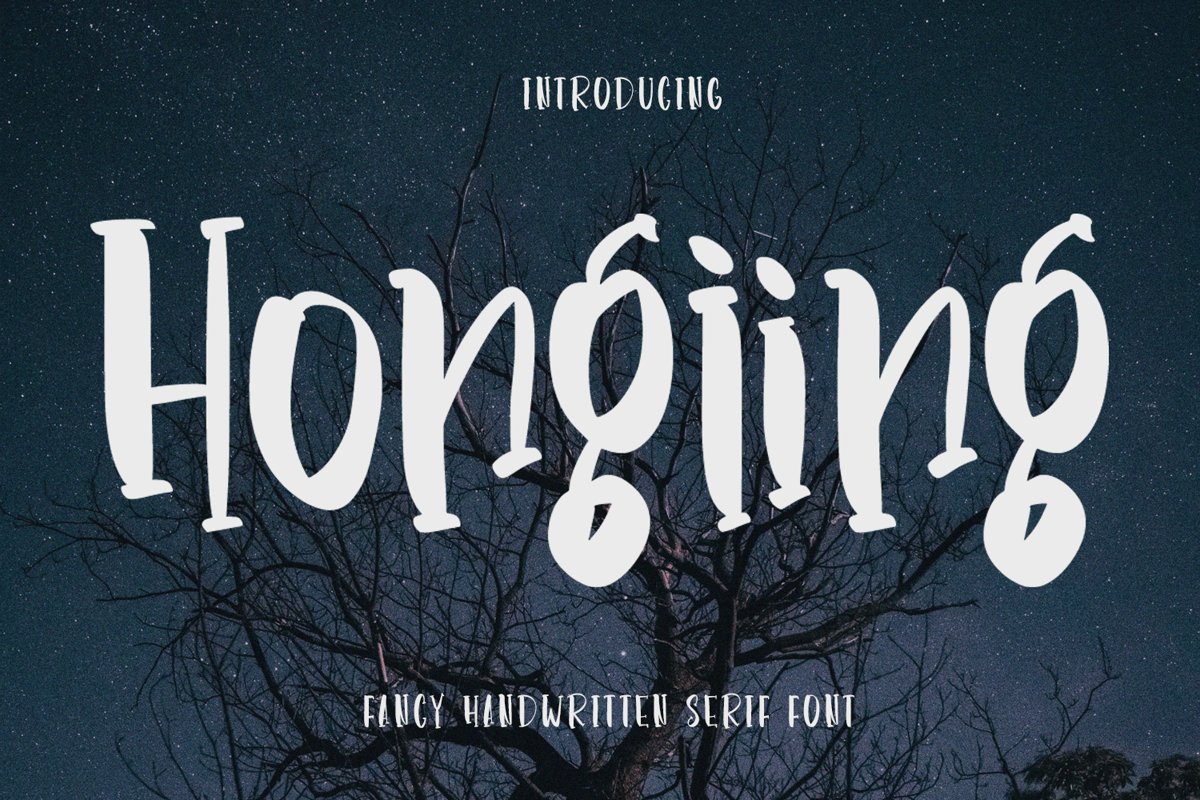 Hongiing - Fancy Handwritten Serif Font example image 1