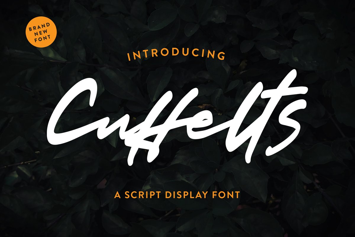 Cuffelts - Script Display Font example image 1
