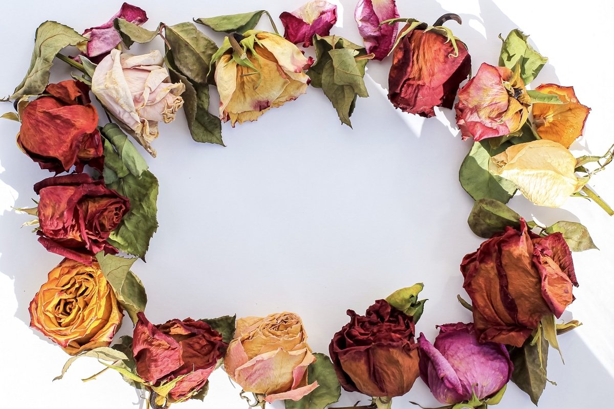 Frame of laid out dry buds of roses, petals, leaves example image 1