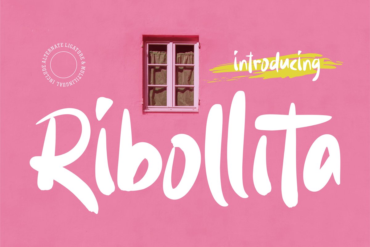 Ribollita - Brush Font example image 1