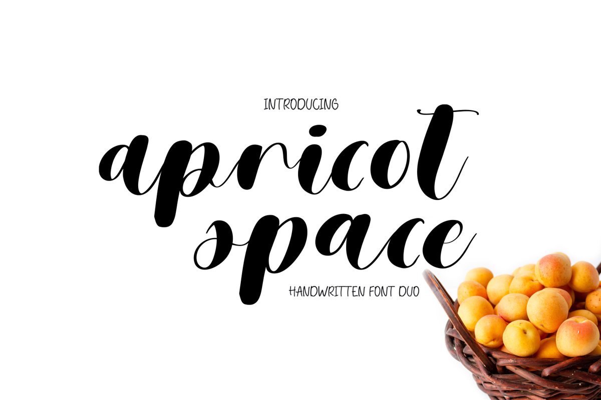 Apricot Space Font Duo example image 1