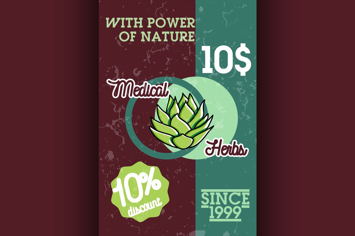 Color vintage medical plants herbs banner example image 1