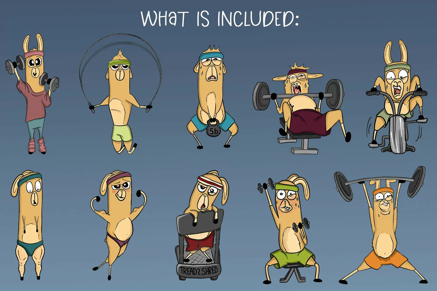 Llamas Getting Fit| Funny Llama Illustration|Workout Clipart product image 1