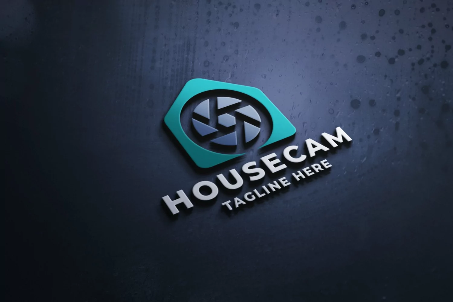 Camera House Pro Logo Template product image 1