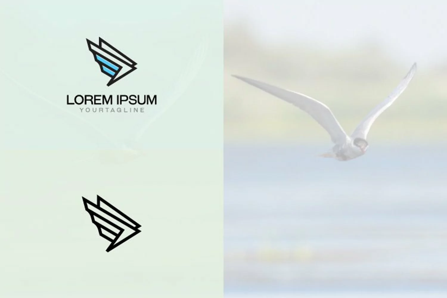 Wings Fly Speed Quick Fast Bird Line Logo product image 1