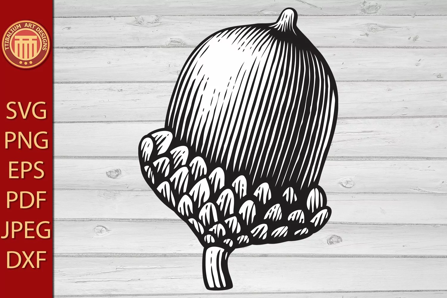 Acorn- vintage engraved vector illustration product image 1