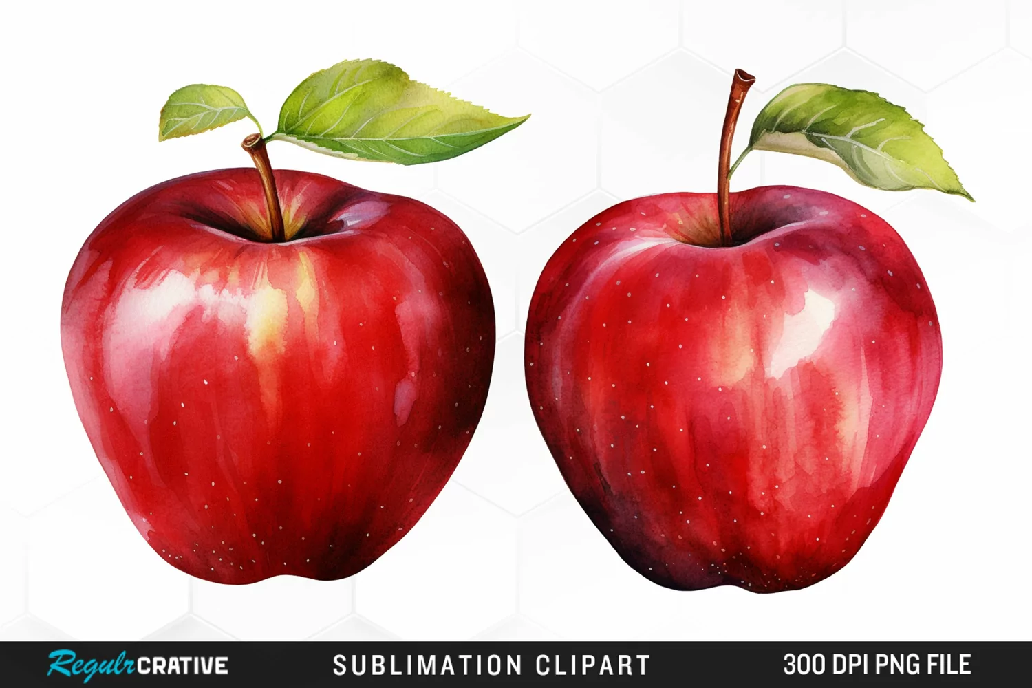 Watercolor Apple Graphics Clipart product image 1