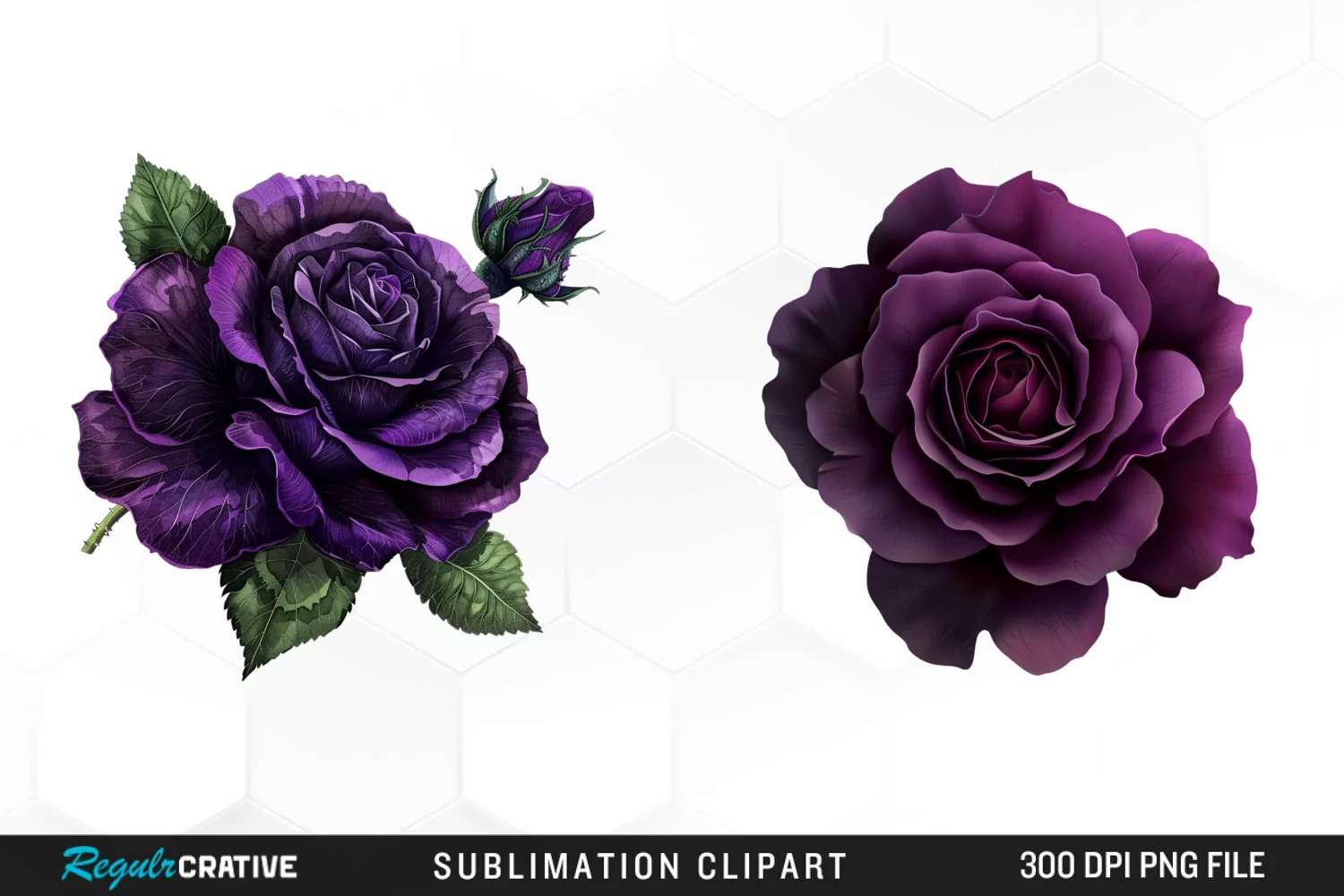 Watercolor Dark Purple Rose Art Clipart product image 1
