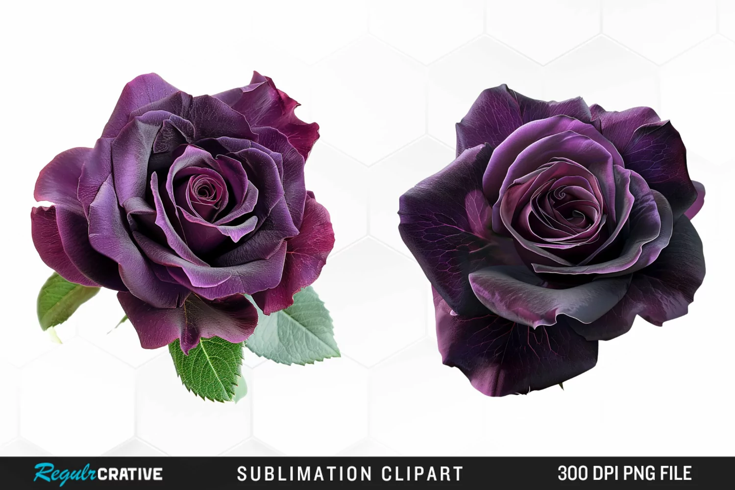 Watercolor Dark Purple Rose Clipart product image 1