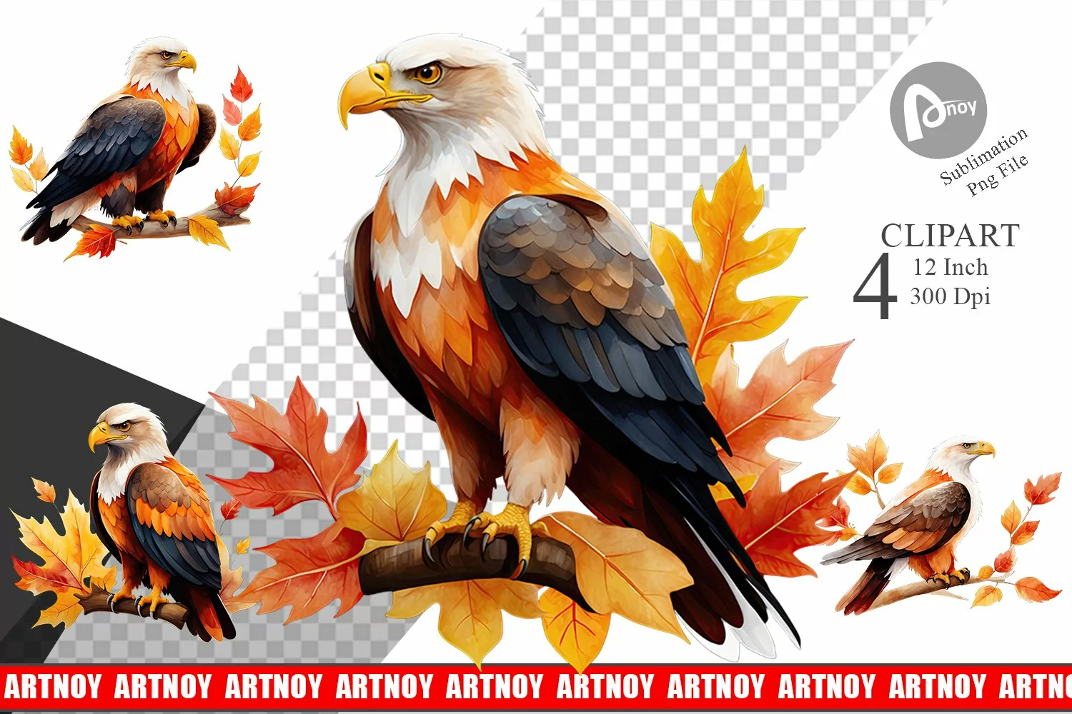 Autumn Eagle Watercolor Clipart product image 1