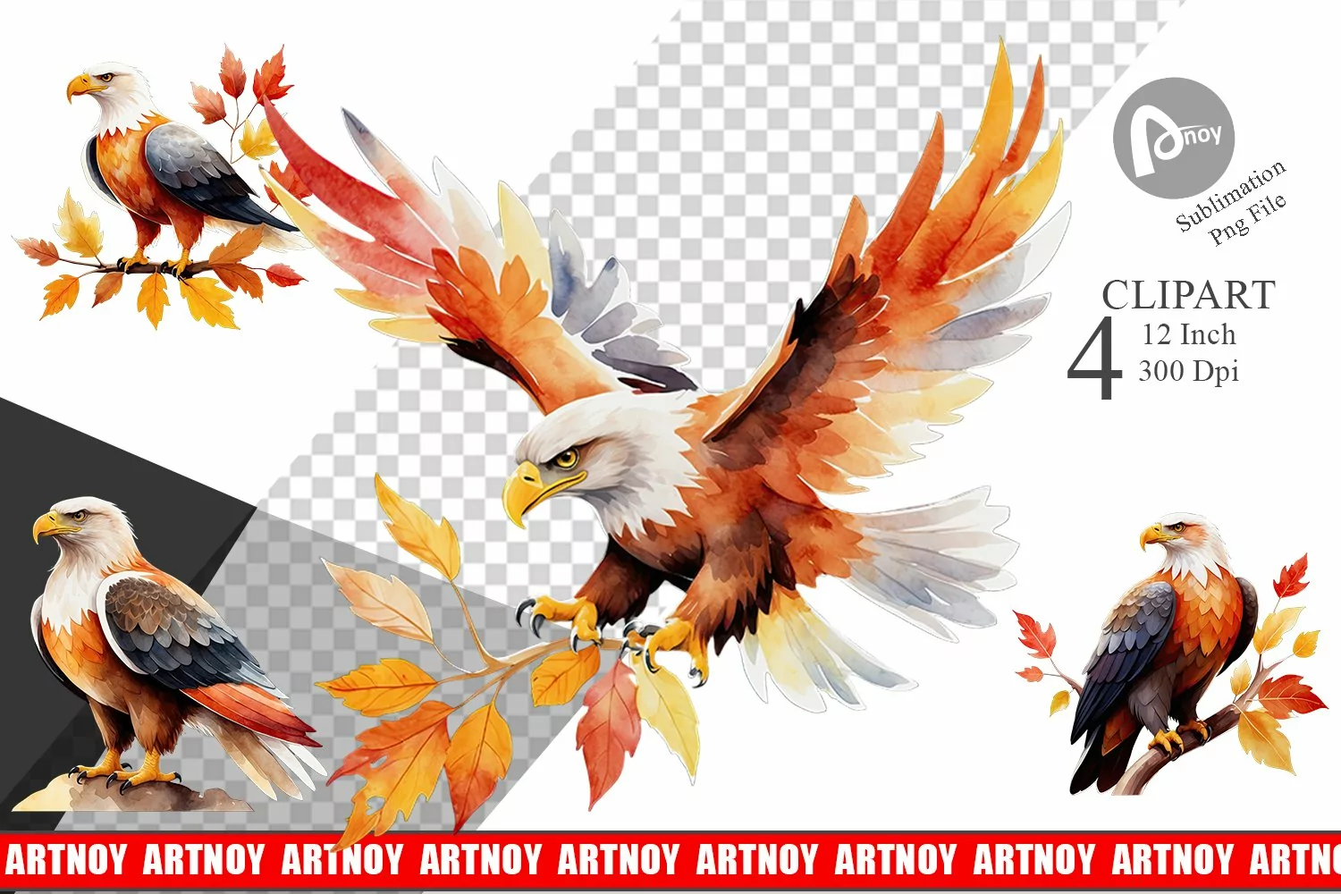 Autumn Eagle Watercolor Clipart product image 1