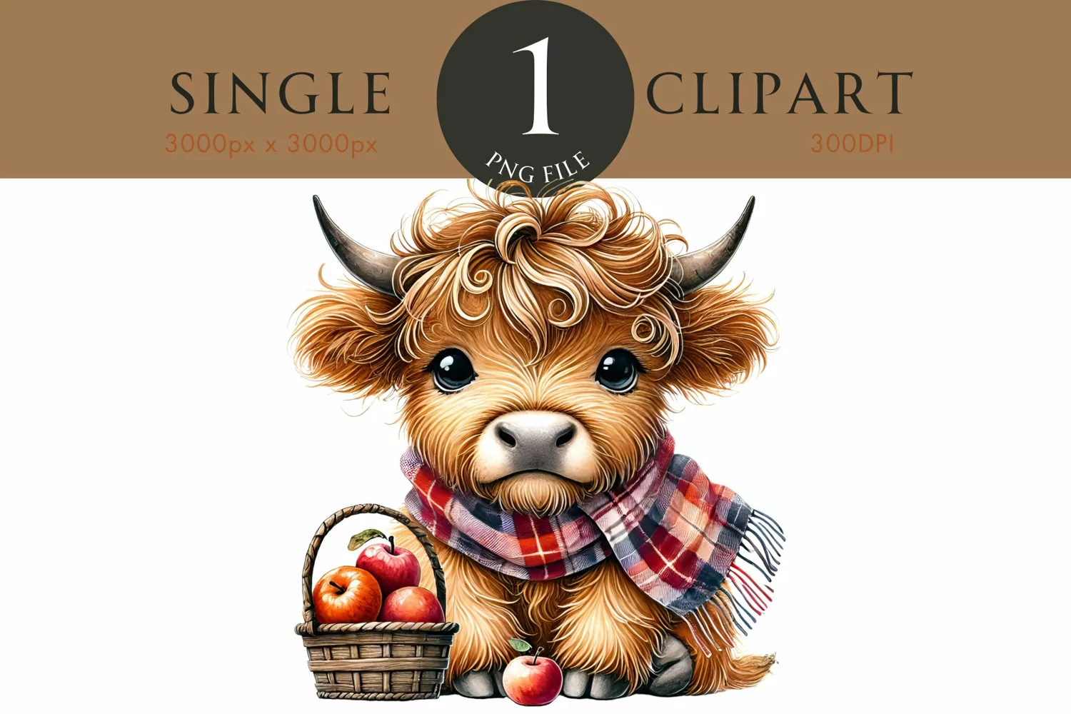 Autumn Fall Highland Cow Watercolor PNG