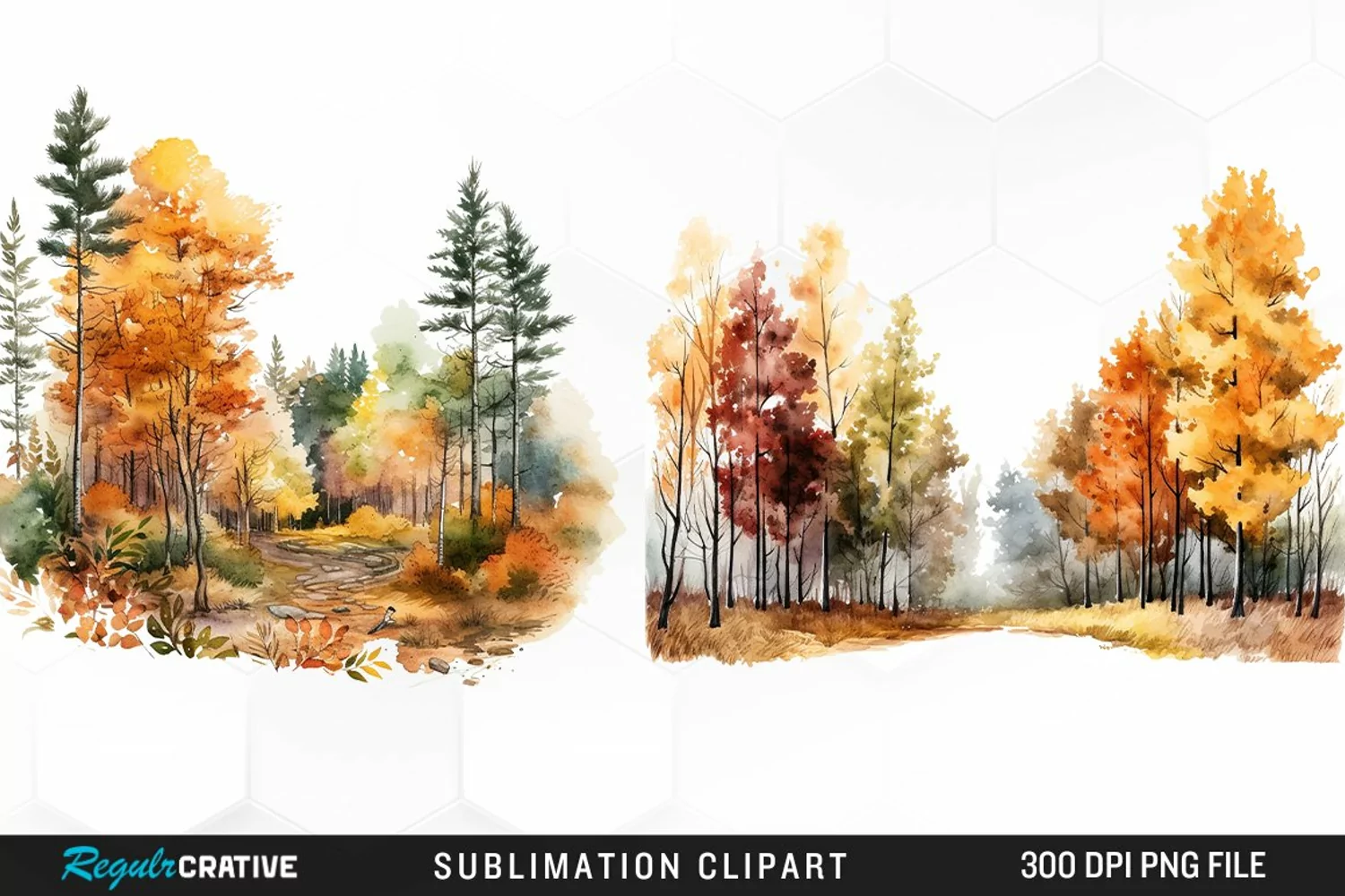 Autumn Forest Exquisite Clipart product image 1
