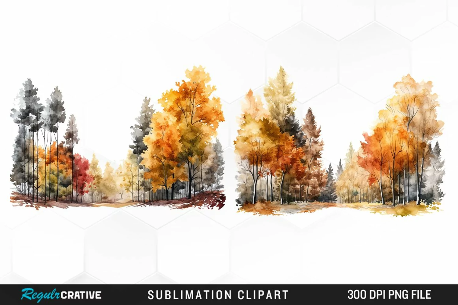 Autumn Forest Exquisite Clipart product image 1