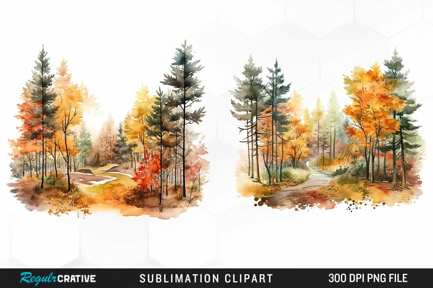 Autumn Forest Exquisite Clipart product image 1